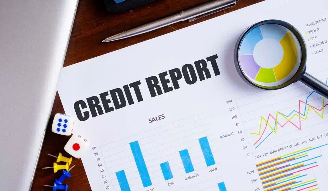 Understanding Credit Report: What Can and Can’t Be Removed from Your Report