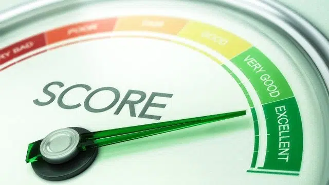 Success Story: A Journey to a Perfect Credit Score