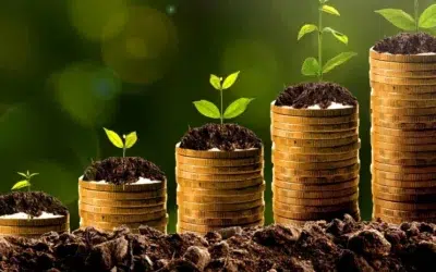 Turning Credit Around: How Credit Fix Solutions Erased a $3,750 Default and Transformed a Financial Future