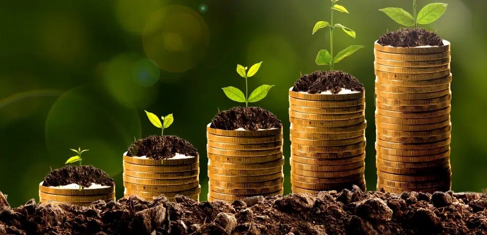 Turning Credit Around: How Credit Fix Solutions Erased a $3,750 Default and Transformed a Financial Future