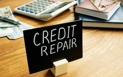 Understanding Company Credit Reports and Credit Repair for PTY Limited Companies