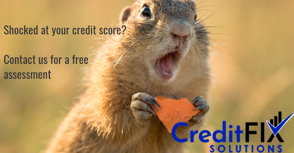 shocked at credit score