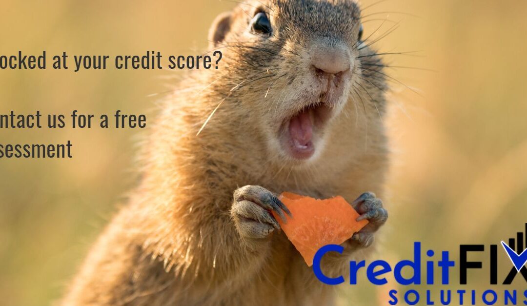 Credit Score Fix: Debunking the Biggest Myths About Your Credit Report