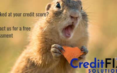 Credit Score Fix: Debunking the Biggest Myths About Your Credit Report
